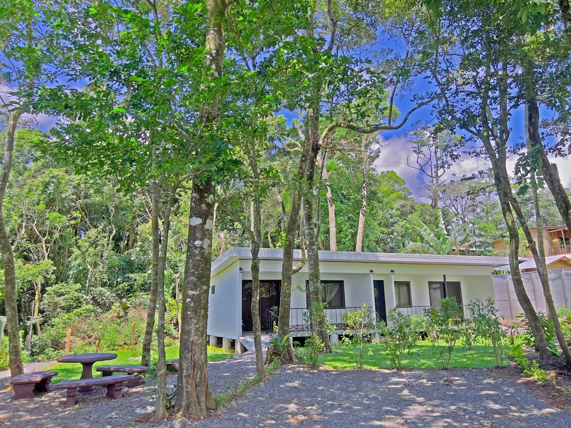 Monteverde Magic Mountain Exteriör bild